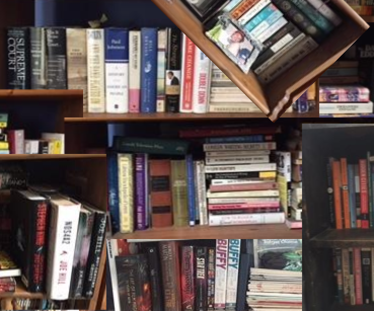 Every book in the house – Medium