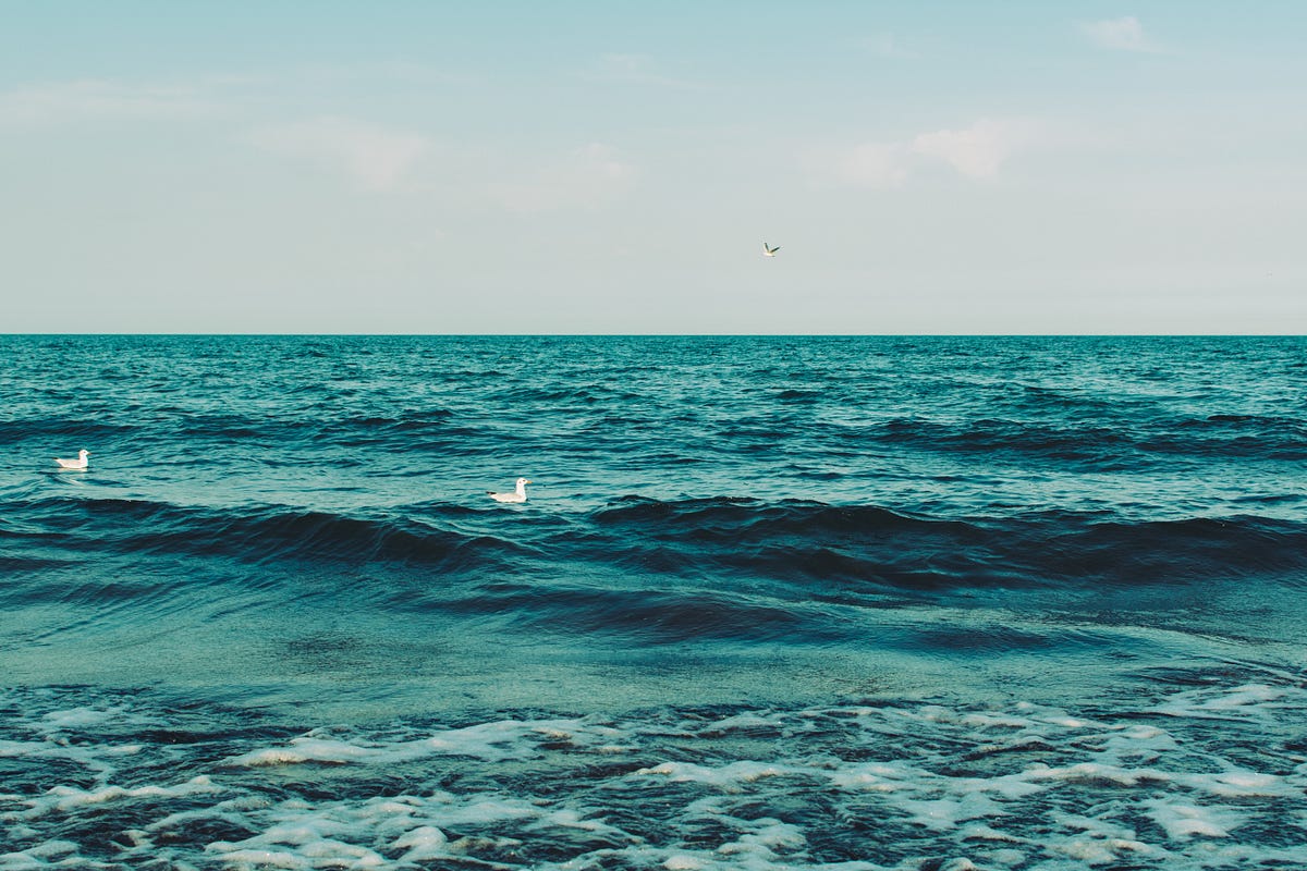 solo lost at sea solo lost at sea