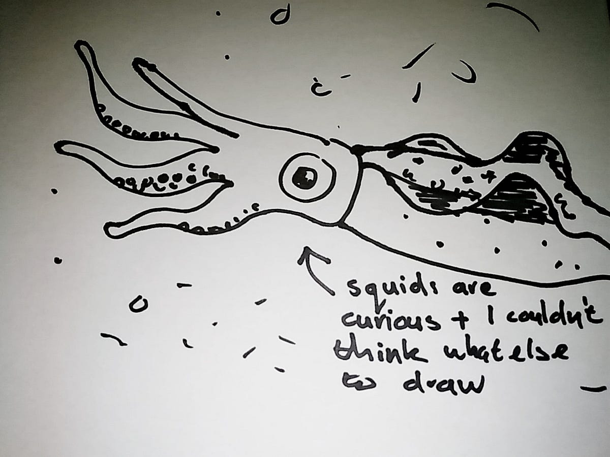 Integrating User Research into a Designer’s Natural Workflow