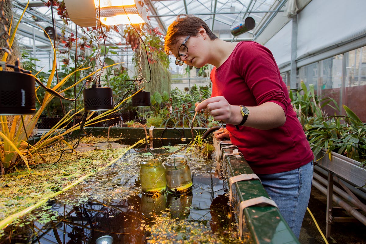 Cambridge Botanical Gardens >> The trainee horticulturalist who believes gardens are for ... Cambridge Botanical Gardens >> The trainee horticulturalist who believes gardens are for ...