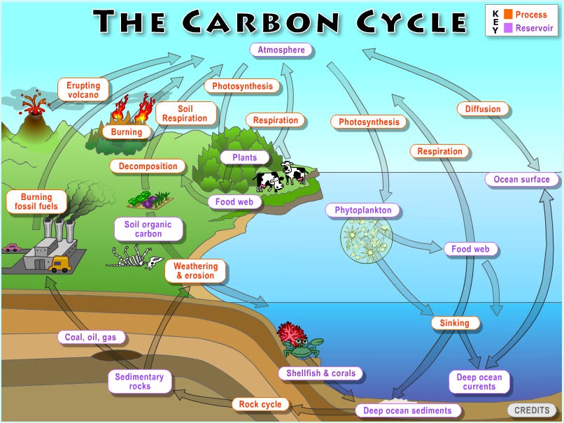 what-does-it-mean-to-close-the-carbon-cycle-christophe-jospe-medium