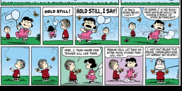 The Funnies Medium