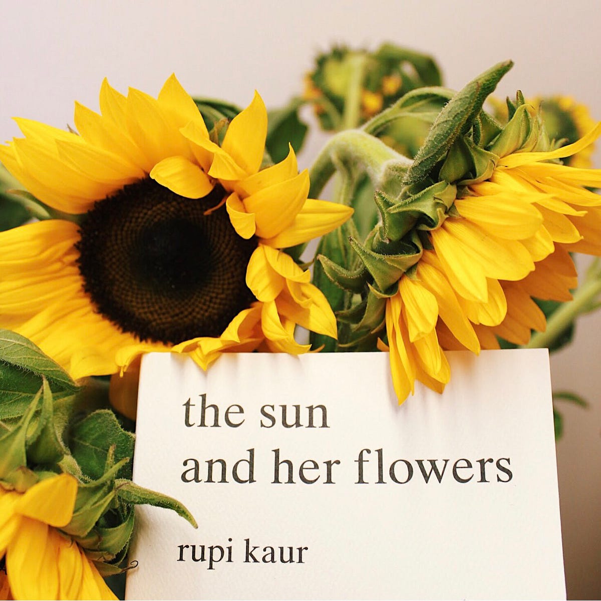 Inside Cover: Rupi Kaur - Strand Book Store - Medium