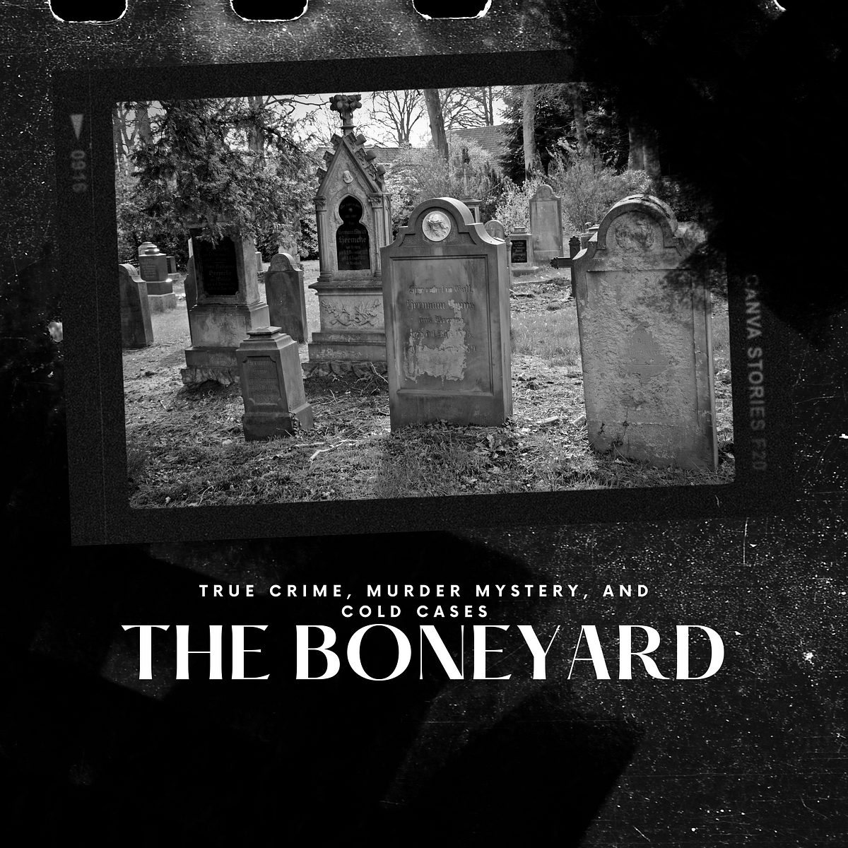 The Boneyard Medium