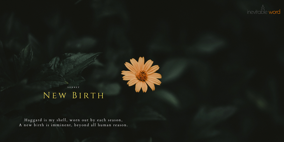 New Birth