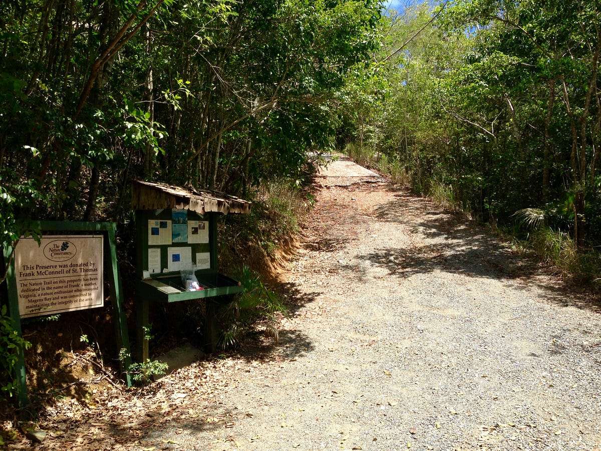 Hiking Magens Bay Trail on Saint Thomas Matt Wade Medium