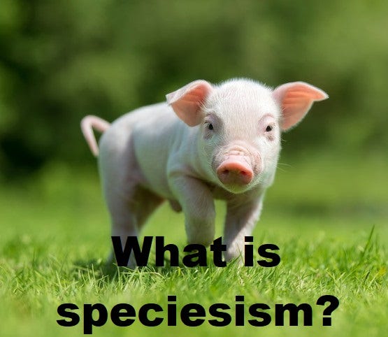 What is speciesism? – Medium