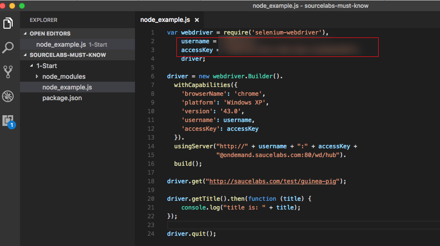 script example