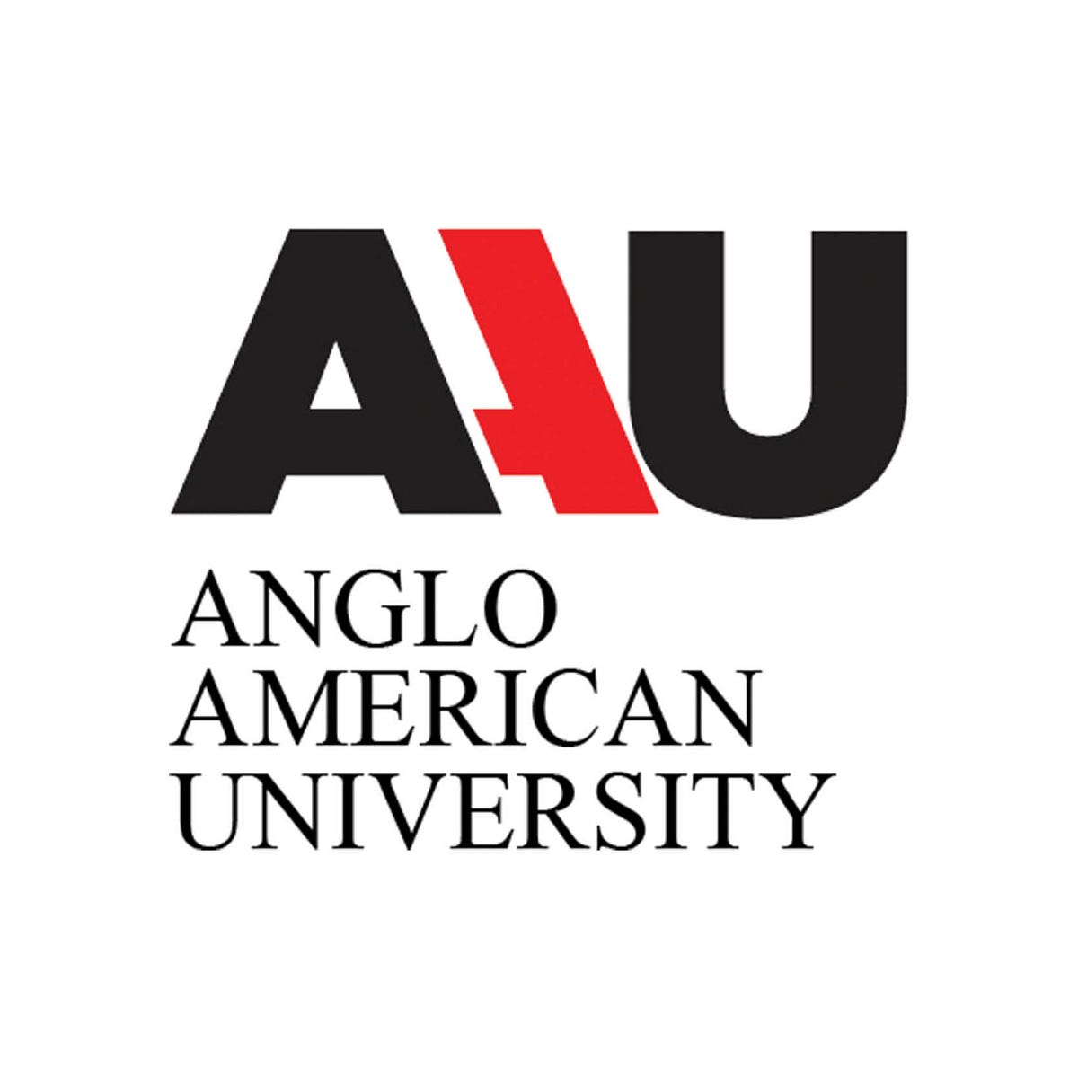 Anglo American University Medium