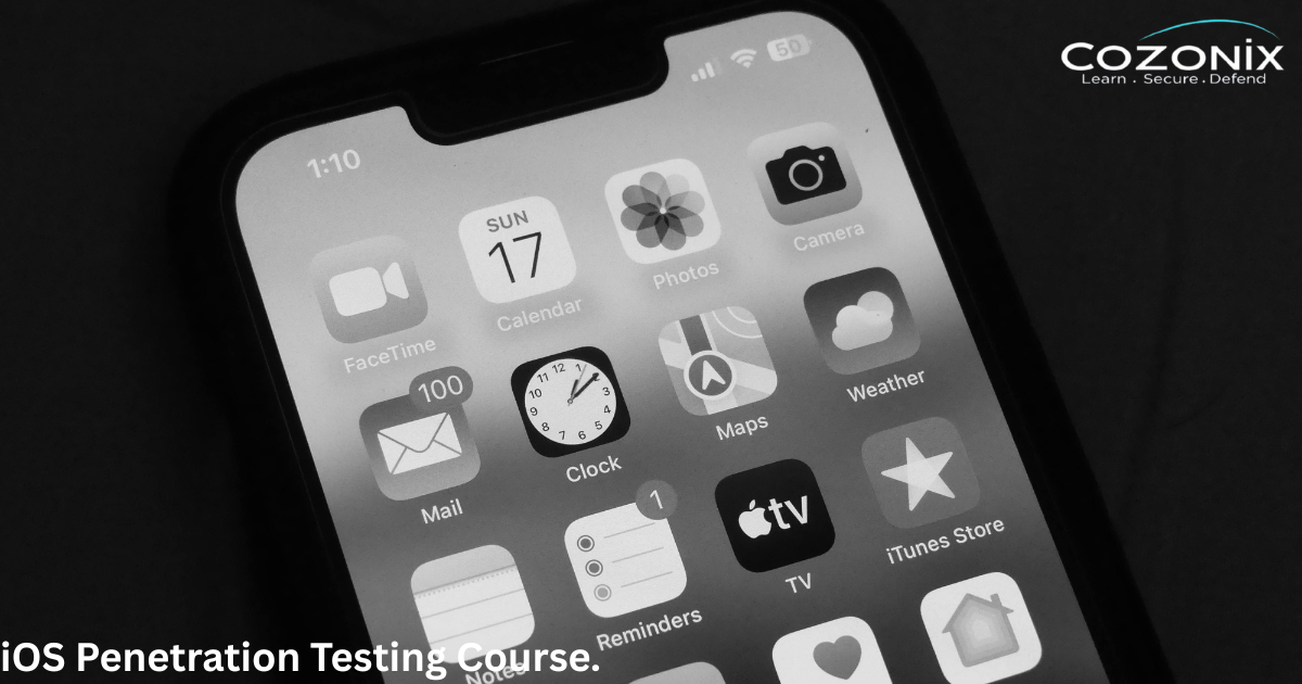 iOS Penetration Testing Course.