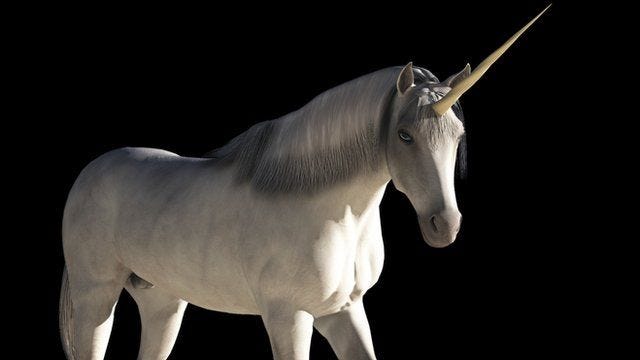 What does it mean when someone calls you a unicorn?
