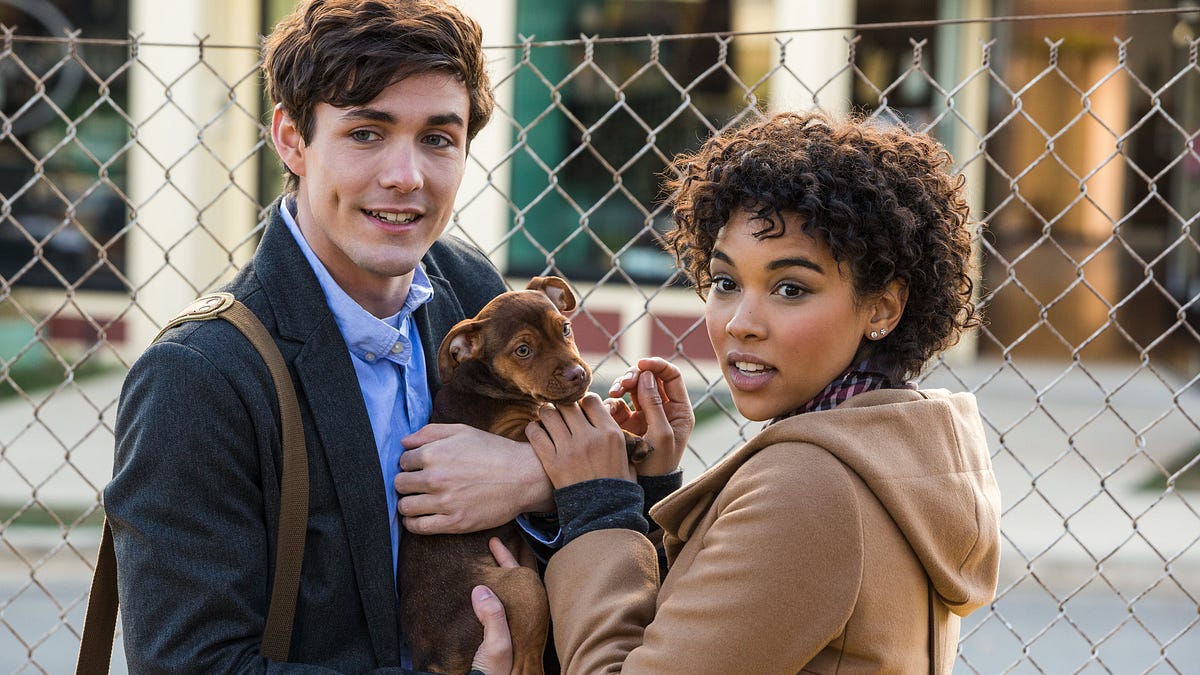 HD Voir” — L’incroyable aventure de Bella [2019] - Medium