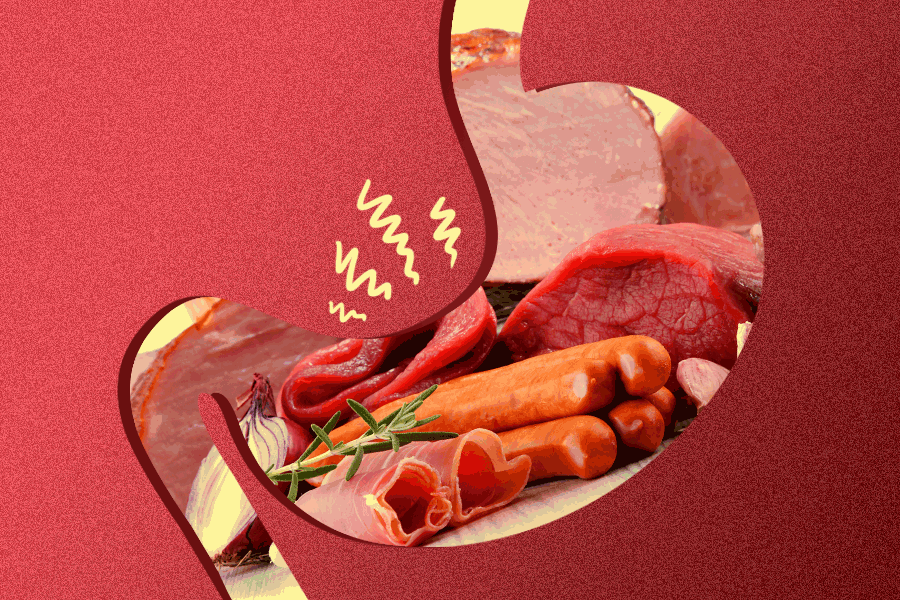Mixing Meats Is Crippling Your Digestive Tract MEL Magazine