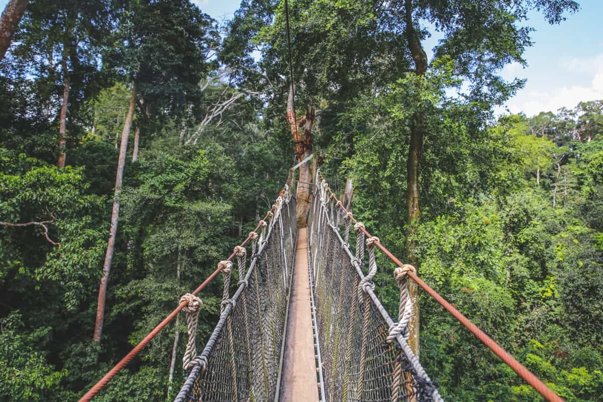 Travels of My Bucket List and Beyond Part 16 C — GHANA, AFRICA by Yvonne Blackwood