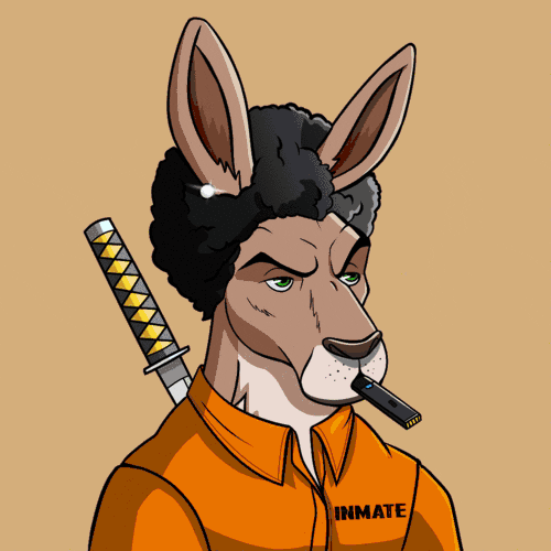 Kangaroo Mob Medium