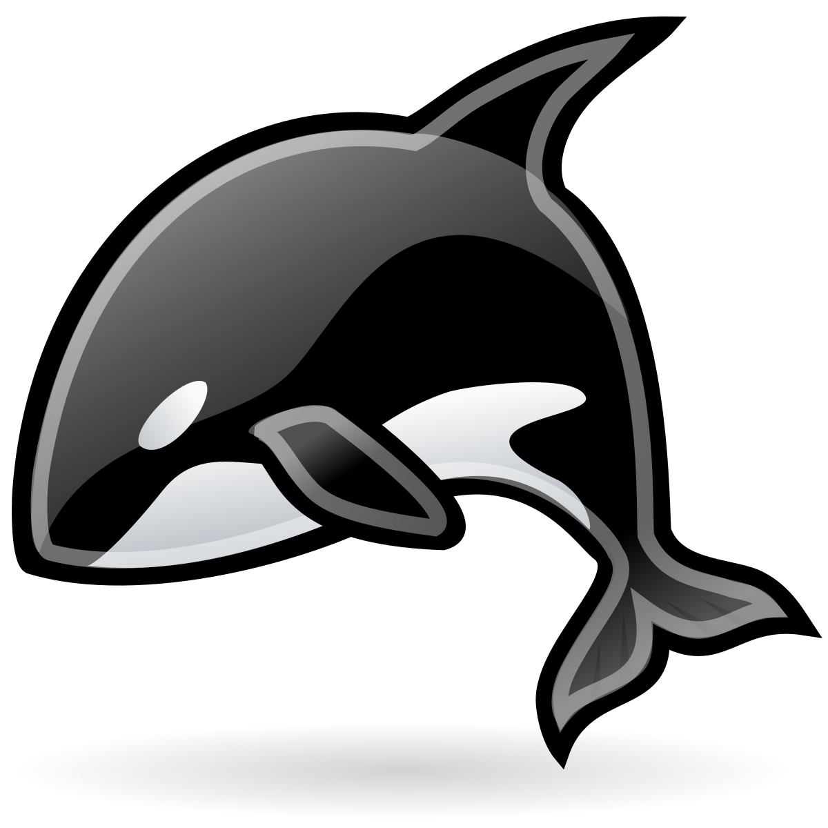 Orca Labs - Medium