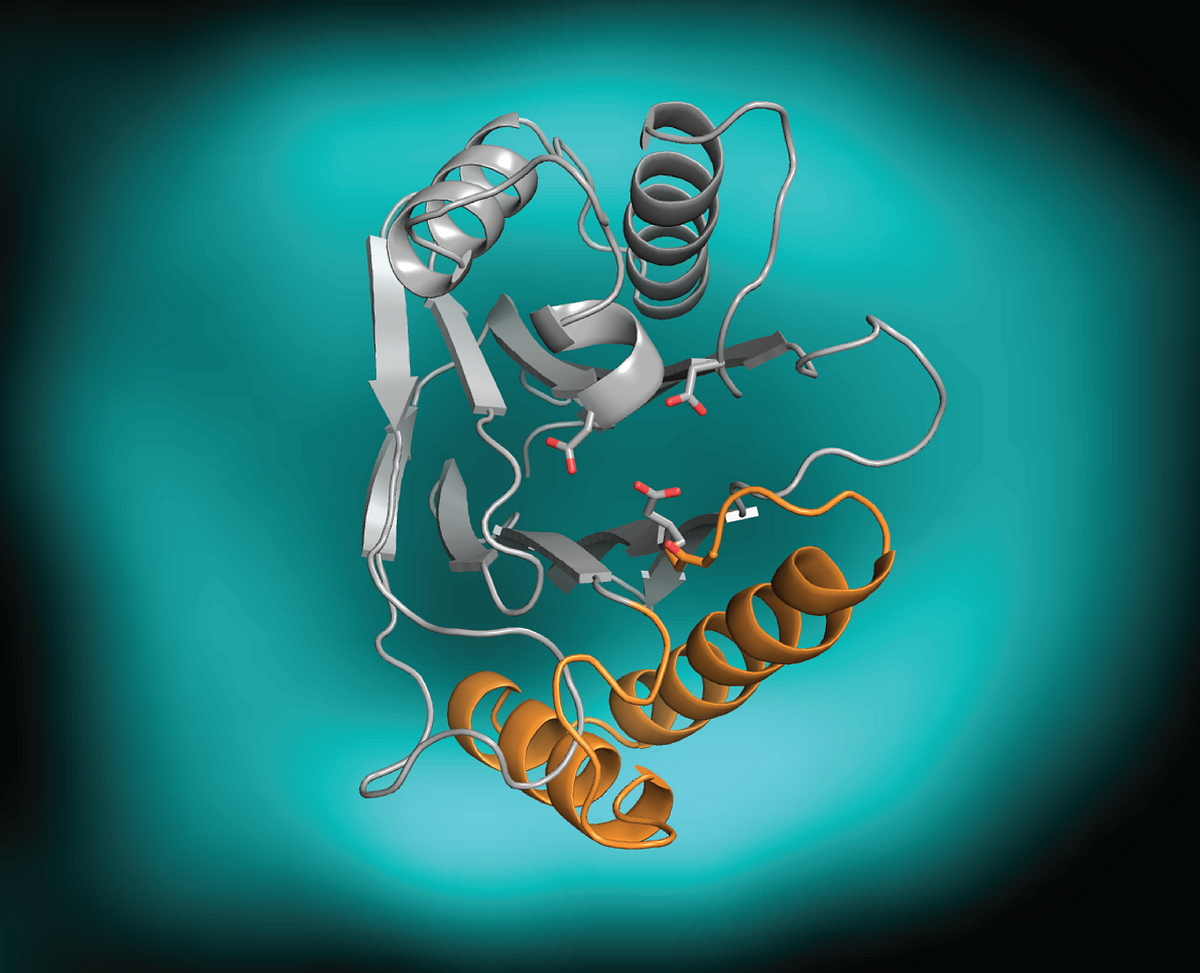 an-enzyme-switch-life-s-building-blocks-medium