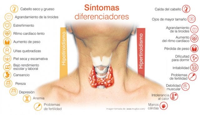 Cetosis e hipotiroidismo subclinico