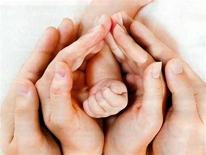 Reproductive Medicine