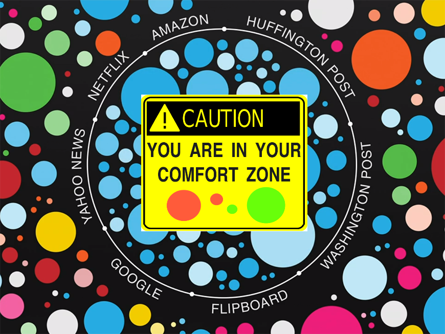 Filter Bubbles vs. Democracy in the Age of Social Media