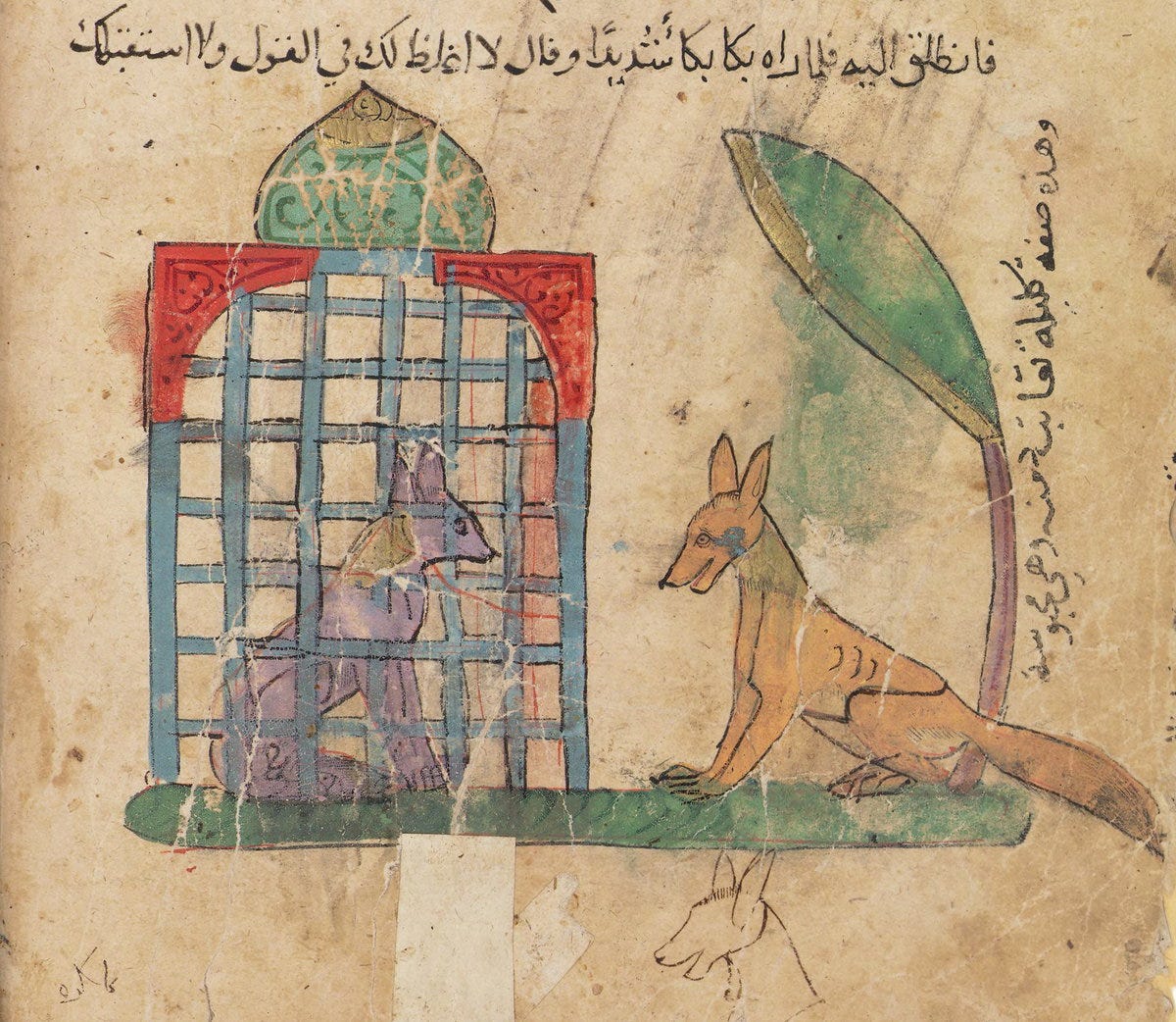 The Fox