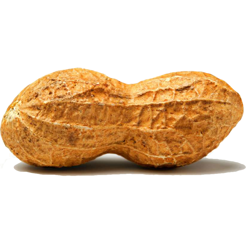 The Peanut Diaries - Medium