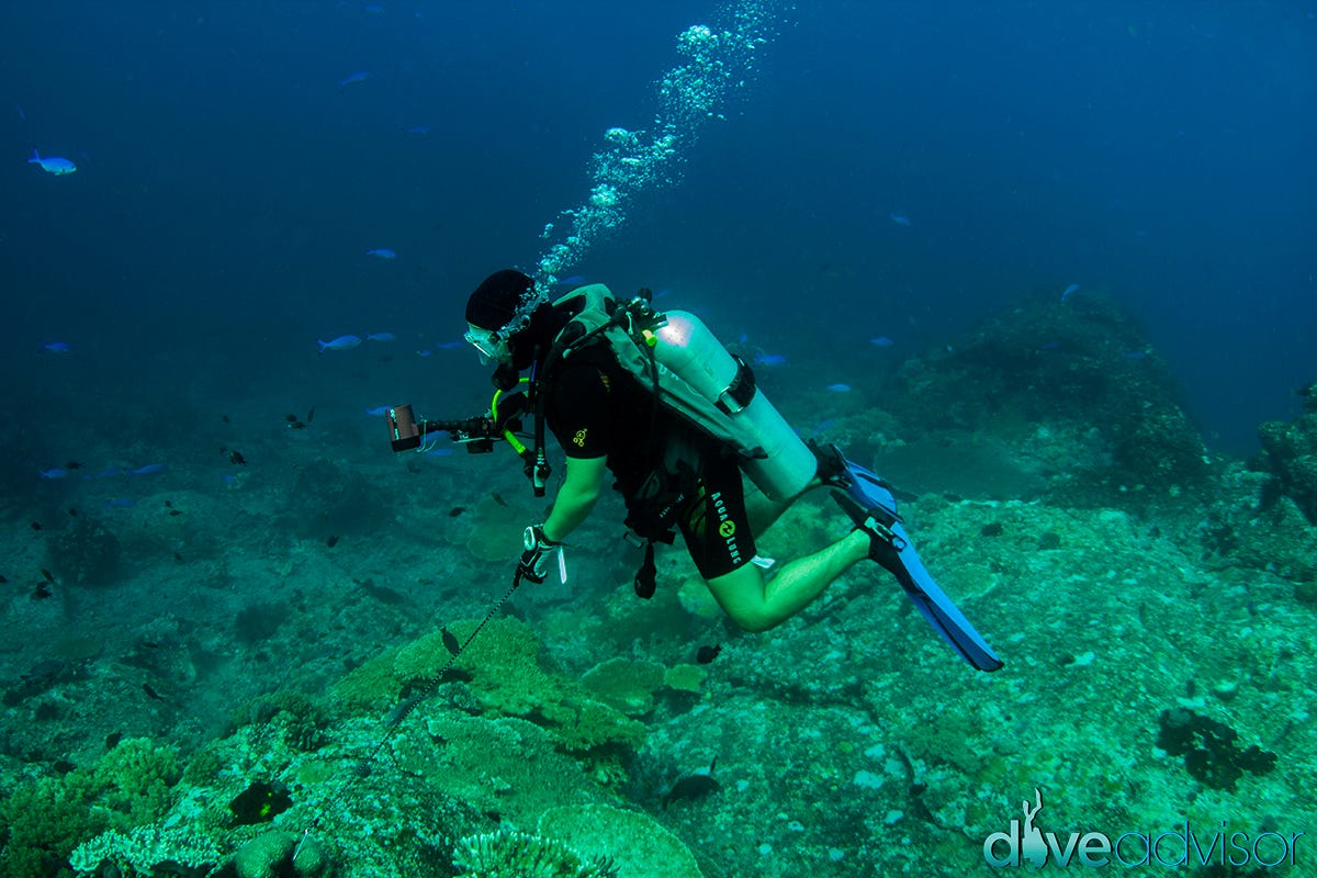 Scuba Diving - Medium