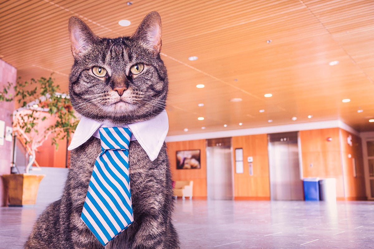 Quotes every product manager should know