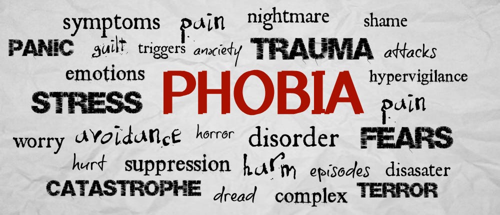 Image result for Phobia