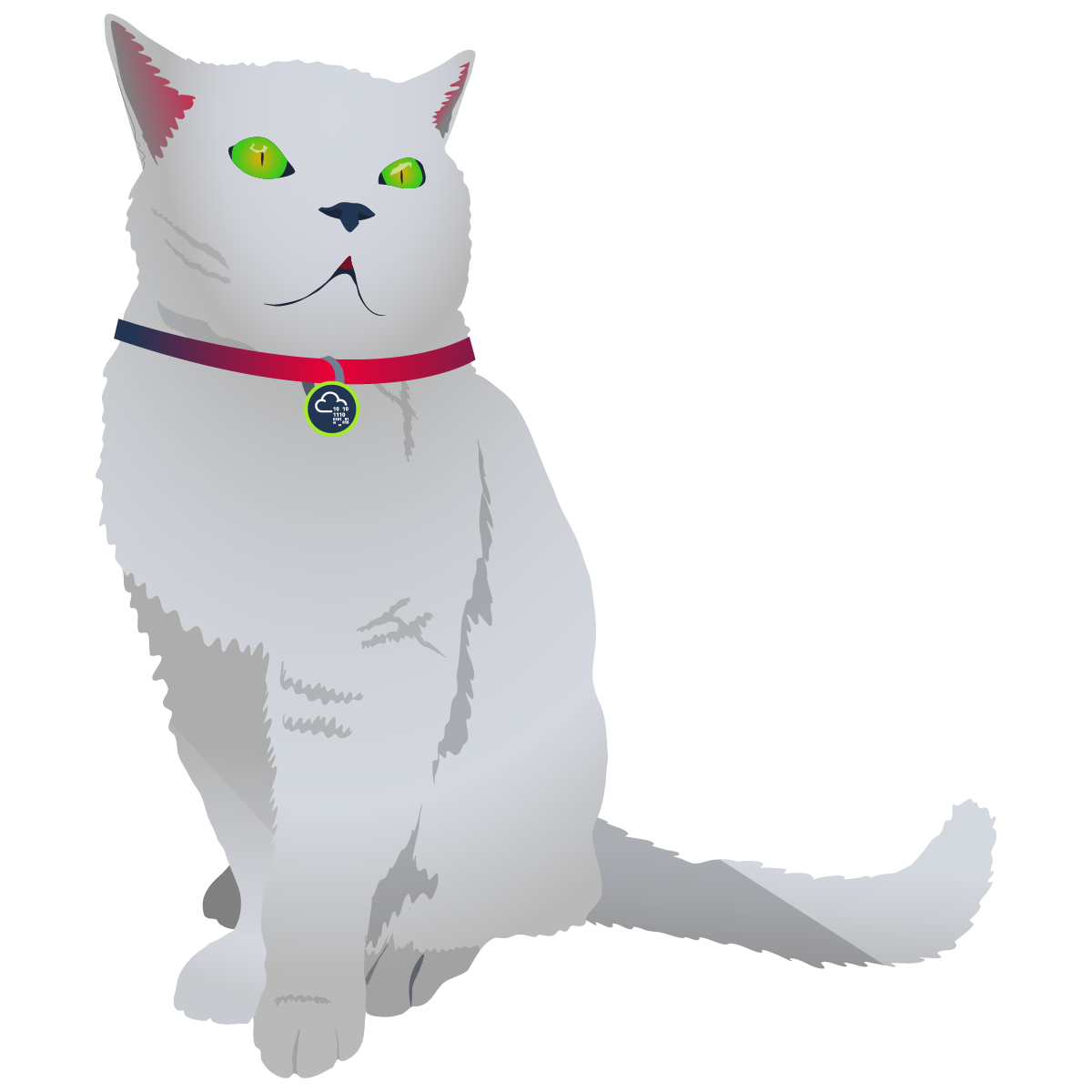 Cat Picture 2 [Try Hack Me] machine Walkthrough :