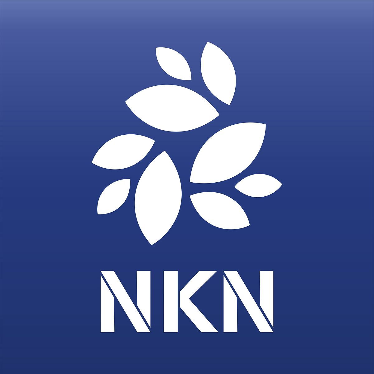 #NKN – Medium