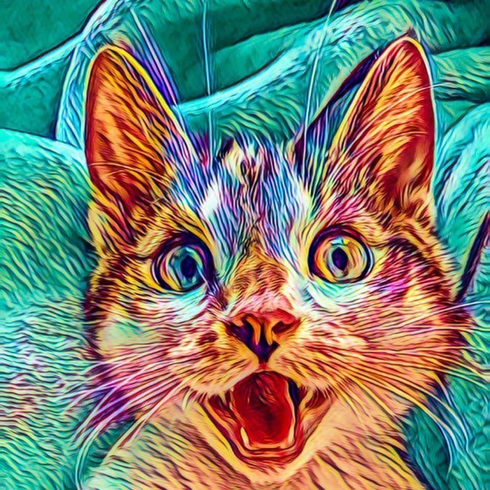 The Stoned Cat - Medium