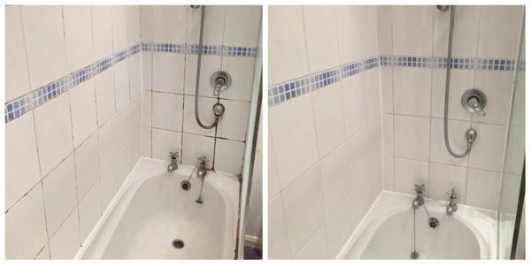What Is Stachybotrys Chartarum Mold Fl Medium Mold Removal Service Brooklyn