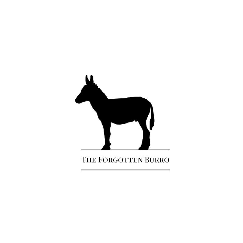 the-forgotten-burro-medium