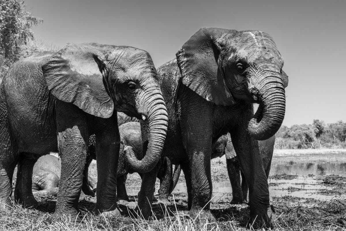 PostgreSQL 19 Beta 1