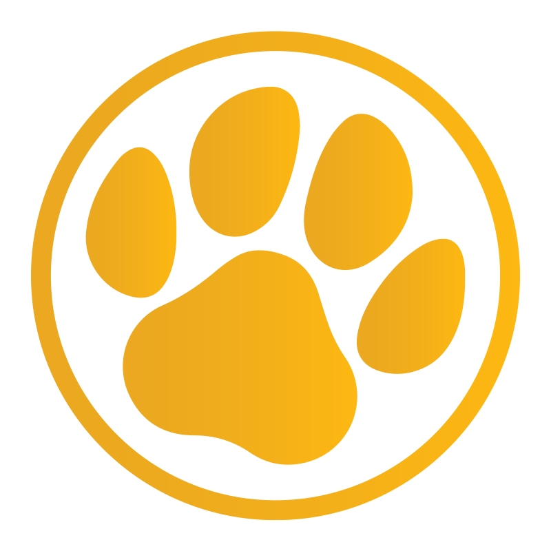 Paws Insider - Medium