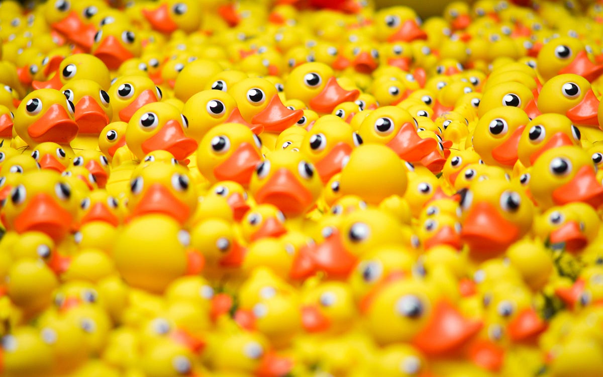 Sort Through the Mess Using a WordPress Tech Stack