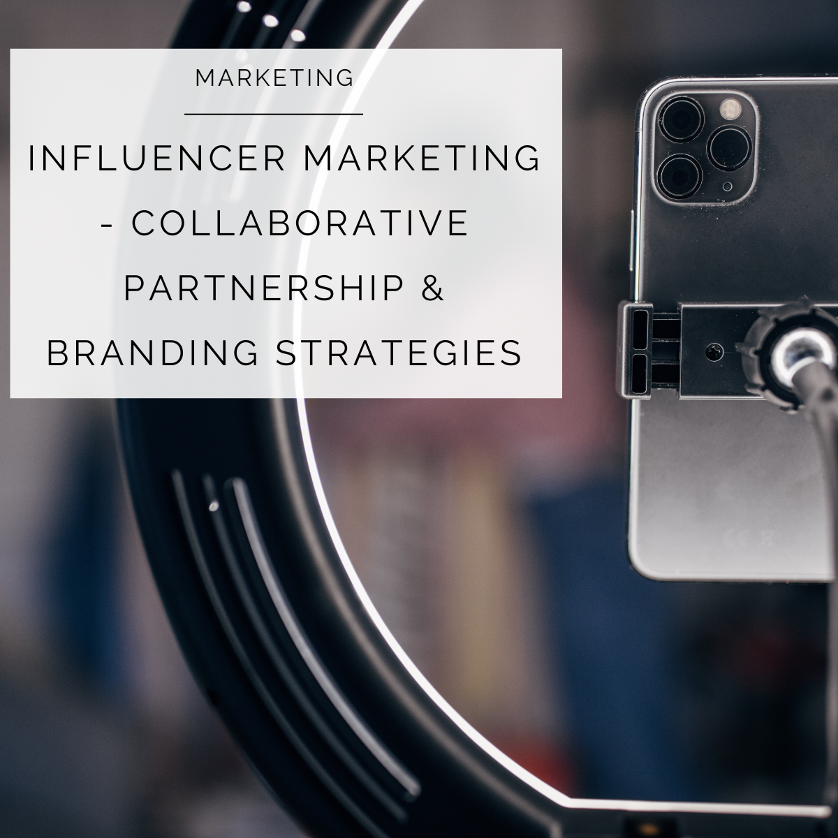 <div>Influencer Marketing — Collaborative Partnership & Branding Strategies</div>