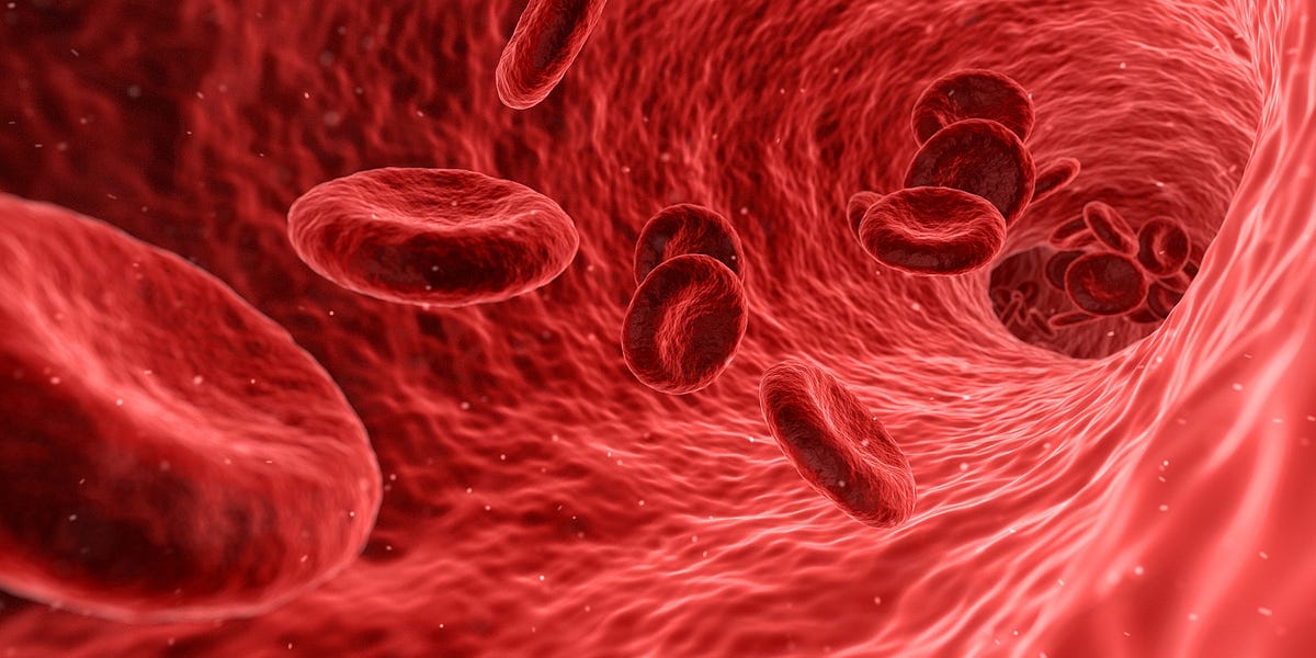 Muscle-like cells block blood flow after a heart attack