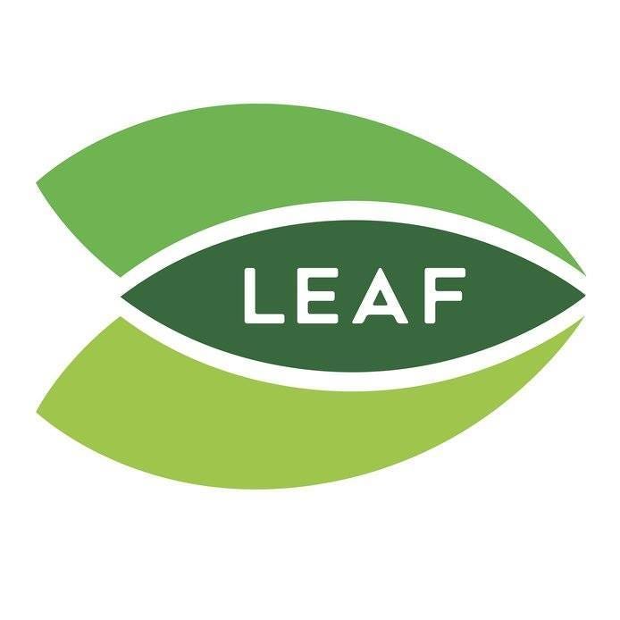 LEAF: Leadership and Education for All Foundation - Medium