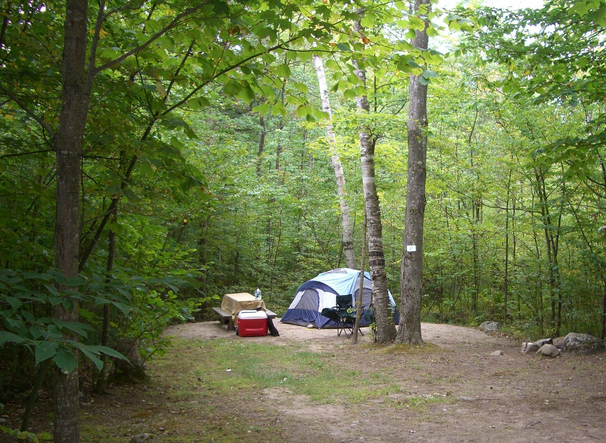 Discover The Serenity Of Native Woods Campground In 2024