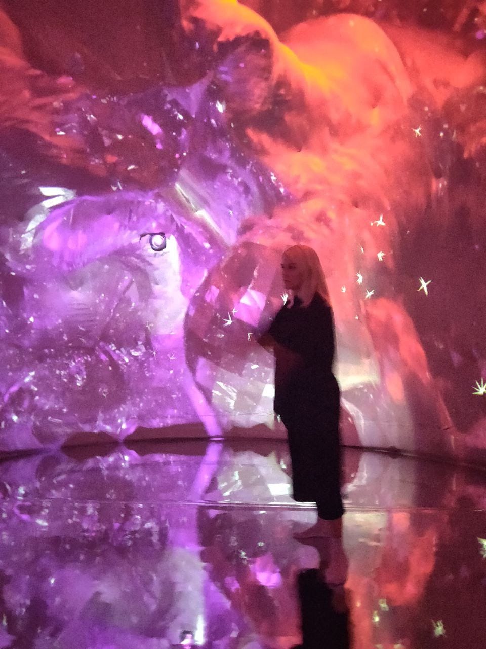 Woman in black standing in the dome with pink projections in the background