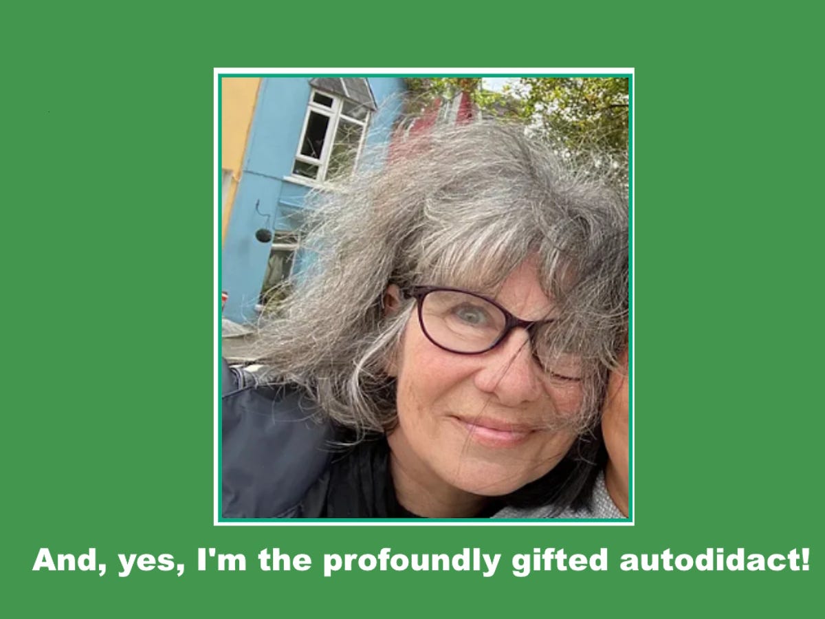 Most Fascinating Conversation Between a Profoundly Gifted Autodidact and Google AI