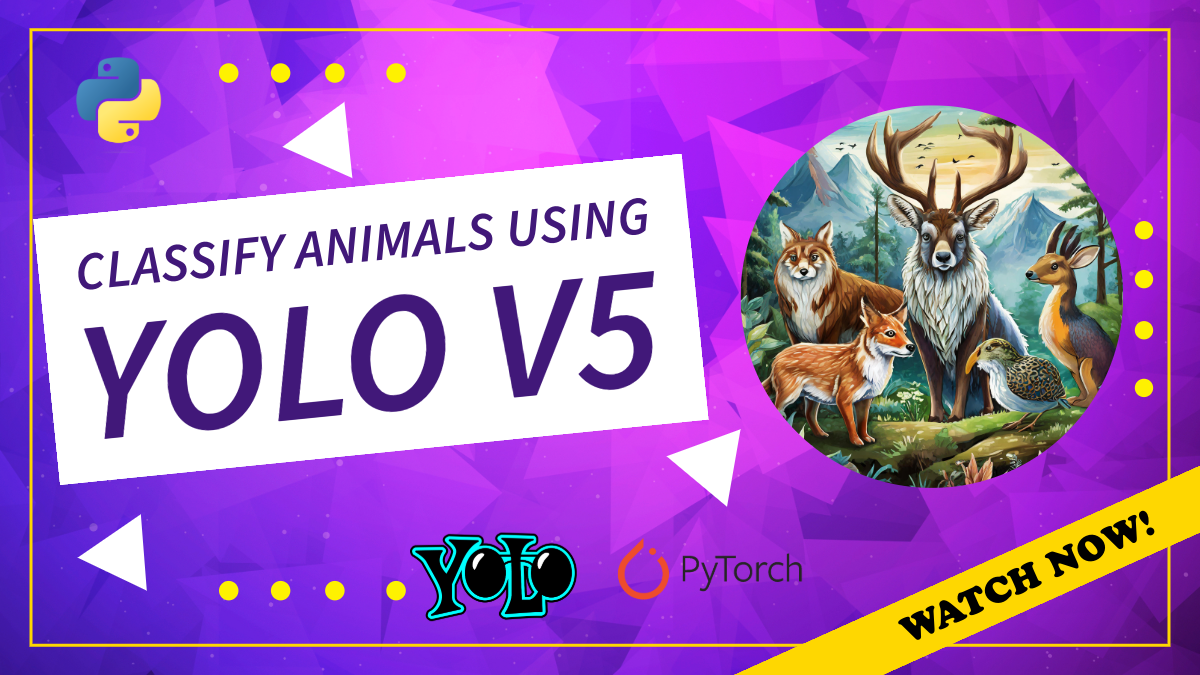 YOLOv5 Image Classification — Complete Tutorial
