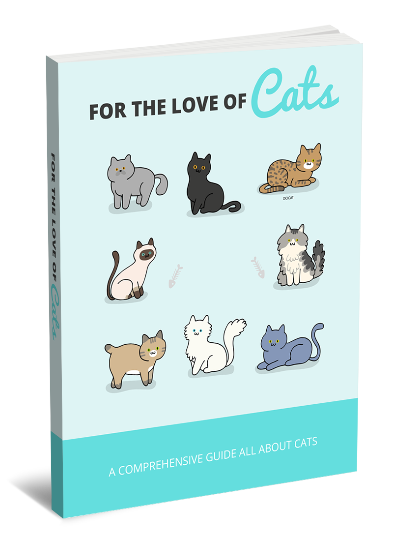 for-the-love-of-cats-medium