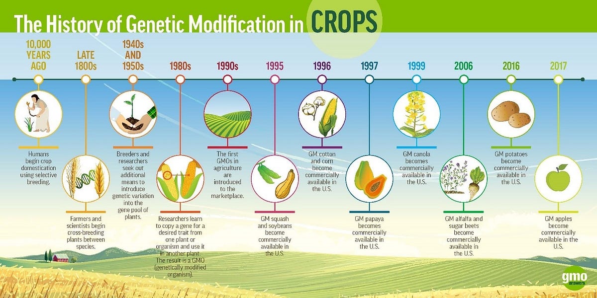 Beyond the Label: 3 Truths & No Lies About GMOs – GMO ... diagram of how gmos are made 