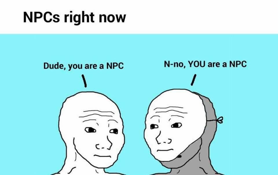 Image result for NPC meme