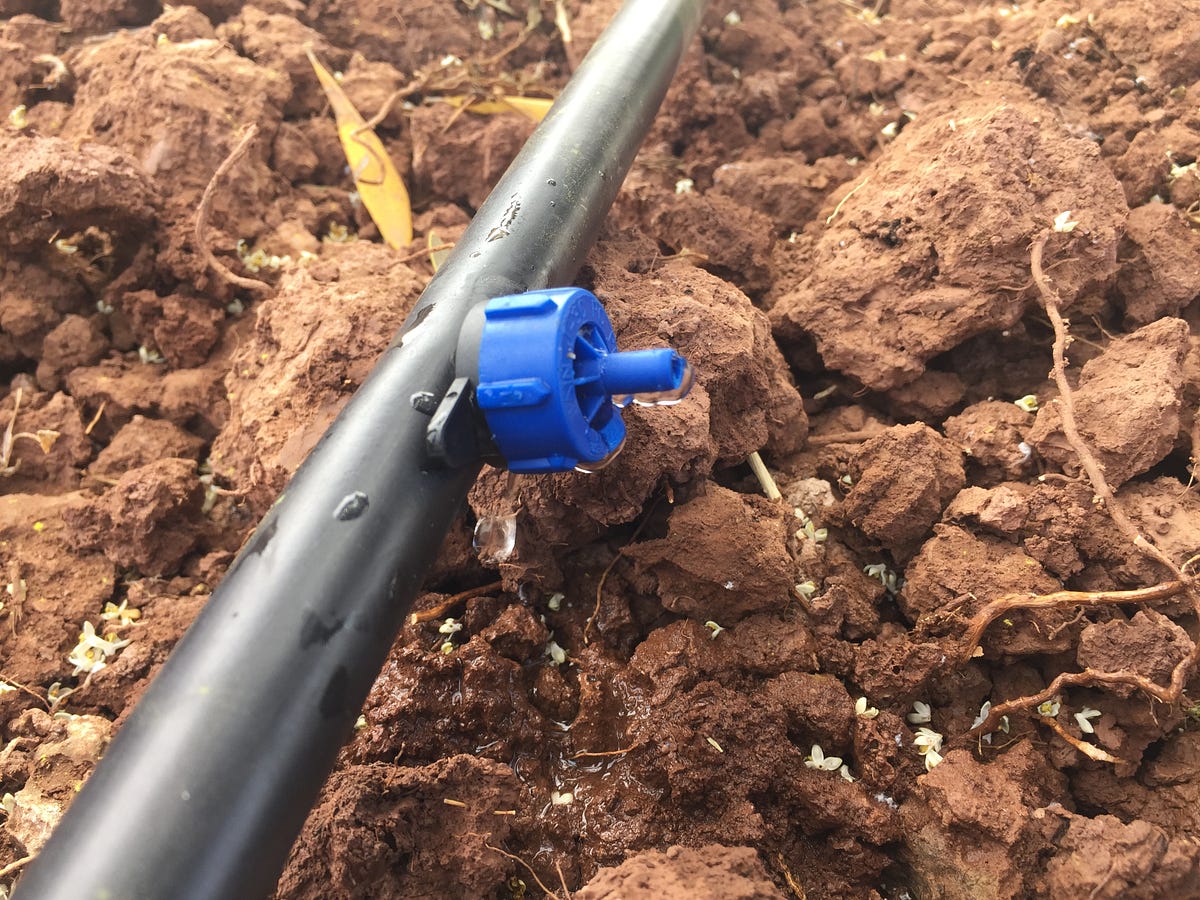 How Does Drip Irrigation Work Simple at Jean Abreu blog