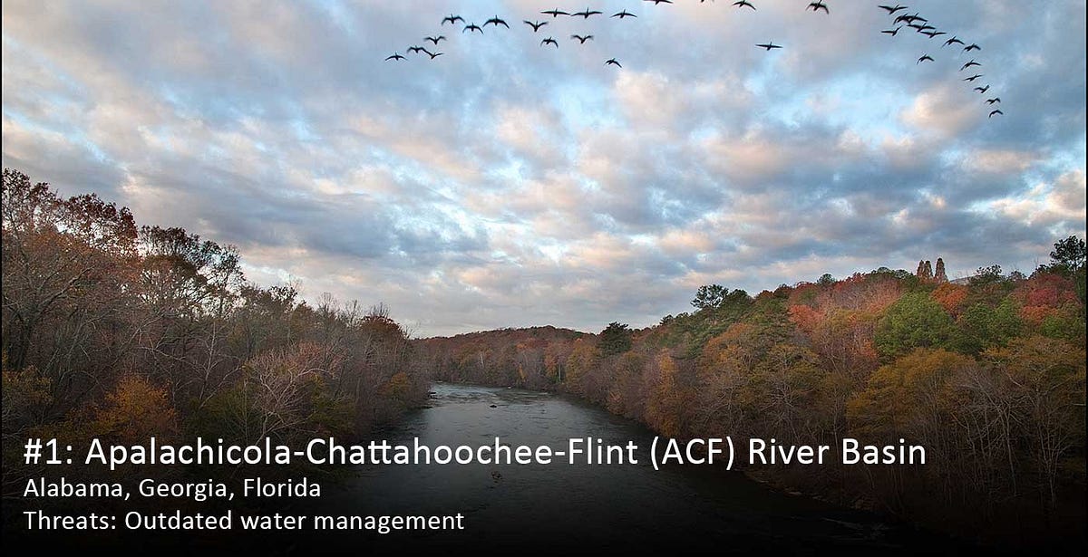 ApalachicolaChattahoocheeFlint River Basin Americas Most Endangered
