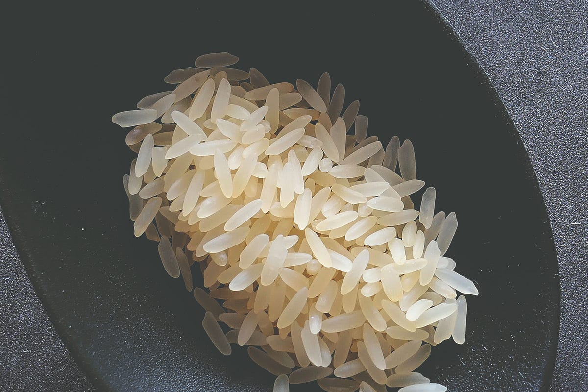 variedades de arroz 1